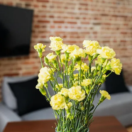 Big - Design - 3 - Centre * Vratislav