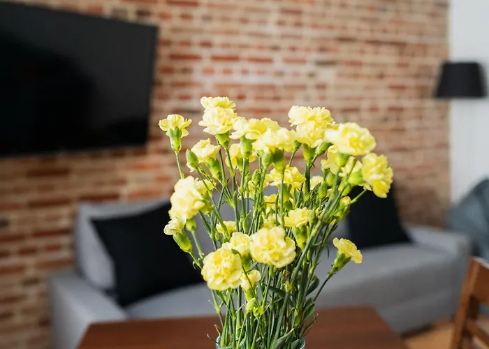 Big - Design - 3 - Centre * Wroclaw